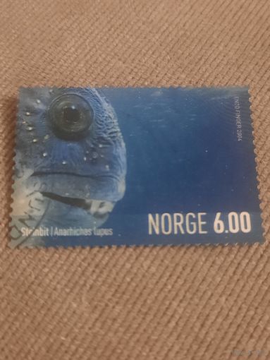 Норвегия 2004. Фауна. Рыбы. Stainbit