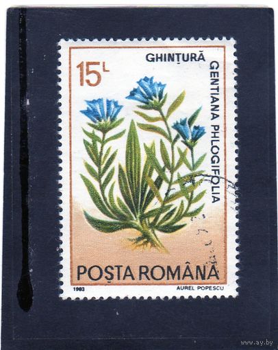 Румыния.  Mi:RO 4876. Gentiana cruciata phlogifolia. Серия: травы. 1993.