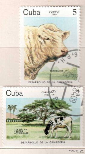 Коровы. 2 марки, 1984г.,гаш. Куба.