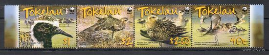 Бурокрылая ржанка Токелау (Новая Зеландия) 2007 год серия из 4-х марок в сцепке