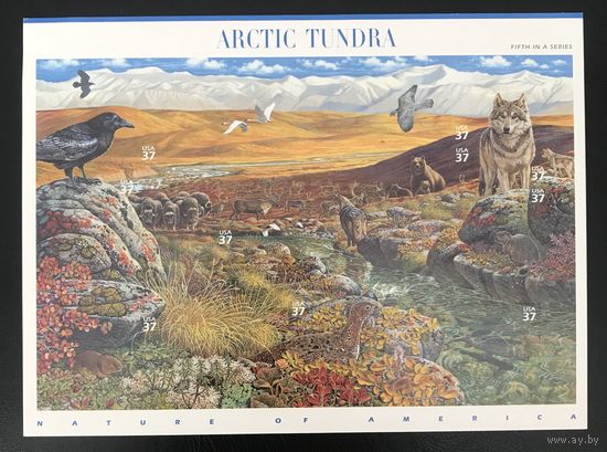 2003 Природа Америки - Арктическая тундра - самоклеющиеся