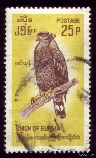 1 марка 1968 год Бирма Птичка 205