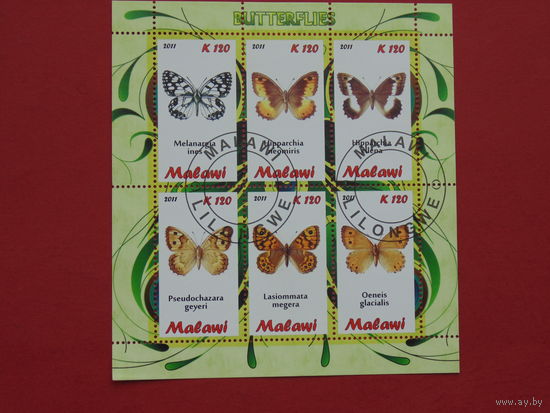 Малави 2011г. Бабочки.