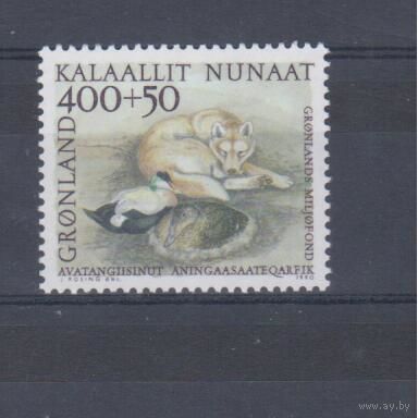 [357] Гренландия 1990.Фауна.Собака,утки.