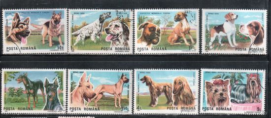Румыния-1990, (Мих.4603-4610) гаш.  , Фауна, Собаки (полная серия)