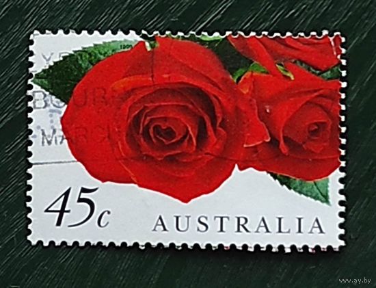 Австралия, 1м роза-2, гаш