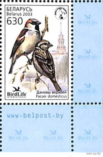 Беларусь 2003 Птица года(угол)