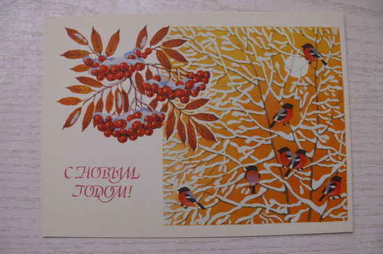 Базаров В., С Новым годом! 1988, чистая (снегири).
