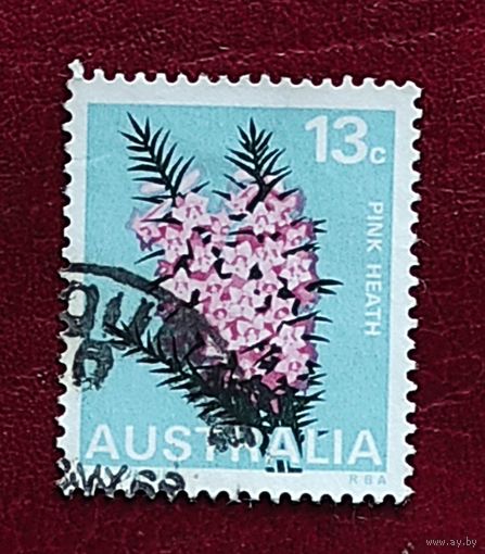 Австралия, 1м цветы-3, гаш