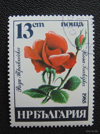 Болгария 1985 г. Флора.