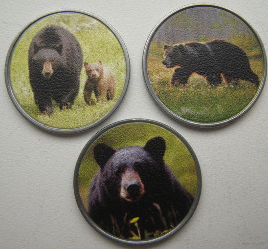 Остров Восточная Бурра (Шетландские острова) 25 пенсов 2021 г. Бурые медведи