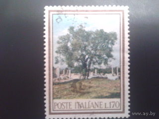 Италия 1966 дерево