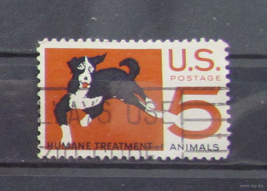 США 1966г. Гуманное обращение с животными