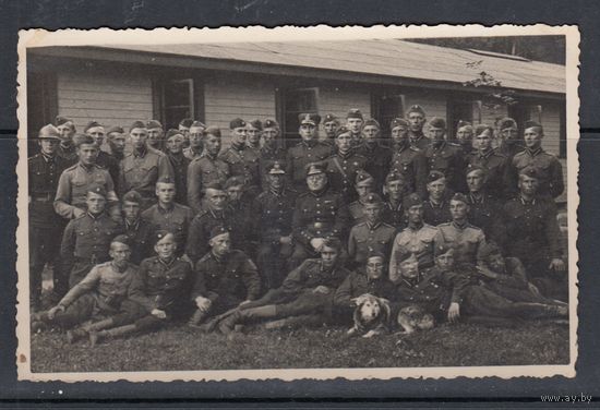 Военные Униформа Армия Собака до 1940 г Латвия Почтовая Карточка Фотооткрытка Открытка Фото 1 шт