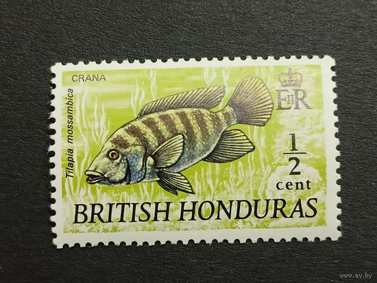Британский Гондурас 1971. Рыбы. Полная серия