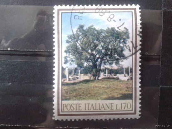 Италия 1966 Дерево