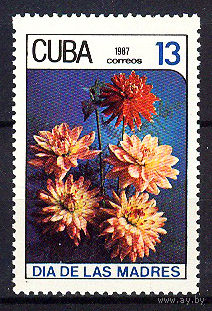 1987 Куба. День матери