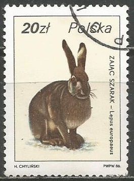 Польша. Лесная фауна. Зайцы. 1986г. Mi#3023.