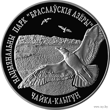 Чайка–клыгун, Национальный парк Браславские озера. 2003. 20 рублей. Cеребро
