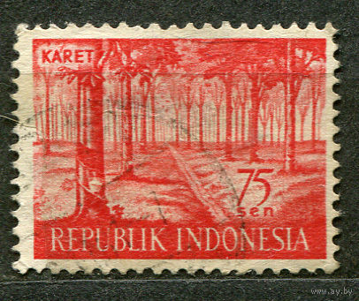 Сбор каучука. Индонезия. 1960