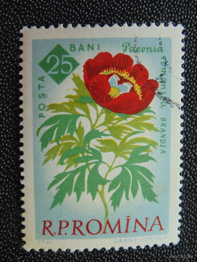 Румыния 1961 г. Цветы.