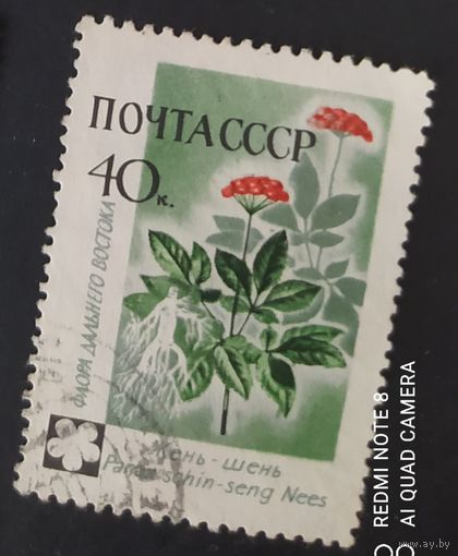 СССР 1960 Флора СССР.
