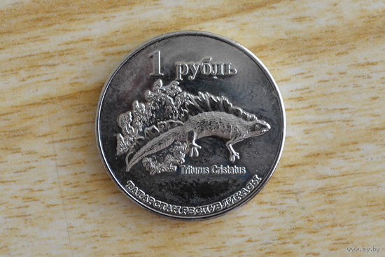 Татарстан 1 рубль 2013