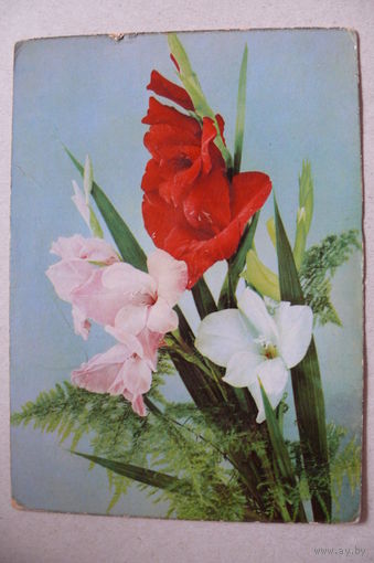 Цветы; 1964, подписана (ГДР).