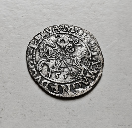 Полугрош 1559 г., Сигизмунд II Август, Вильно, лот хбх-23