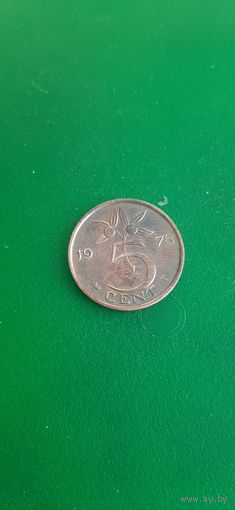 Нидерланды 5 центов 1978