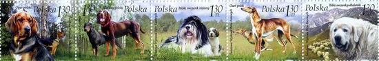 Всемирная выставка собак 2006. Познань Фауна Польша **