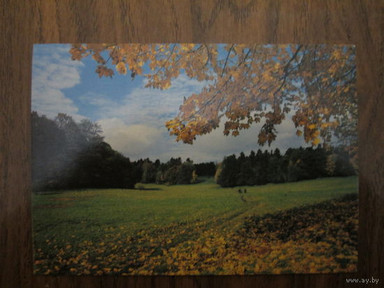 Почтовая открытка.1985г.В.Гаспарянц.Осень.Чистая.