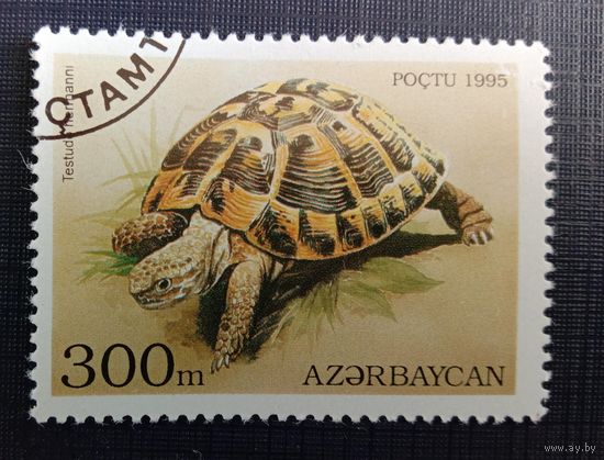 Марка Азербайджан 1995 Черепаха