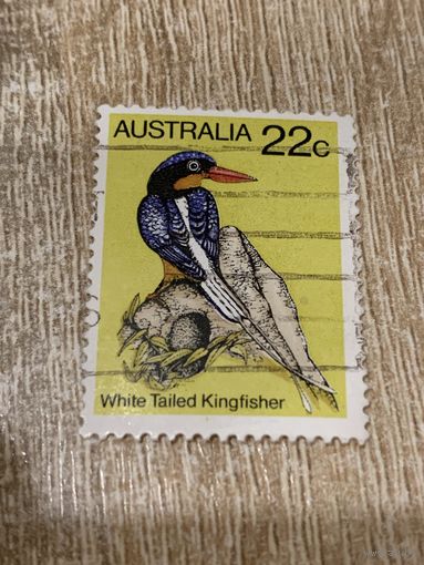 Австралия. Птицы. White Tailed Kingfisher. Марка из серии