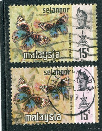 Малазийские штаты. Селангор. Бабочки