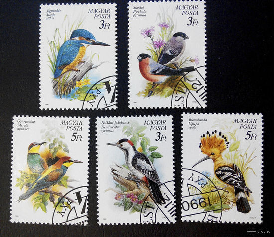 Венгрия 1990 г. Птицы. Фауна, полная серия из 5 марок #0169-Ф1
