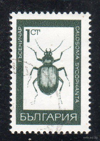 Болгария.Mi:BG 1826. Лесная гусеница охотника (Calosoma szcophanta). Серия: Насекомые. 1968.