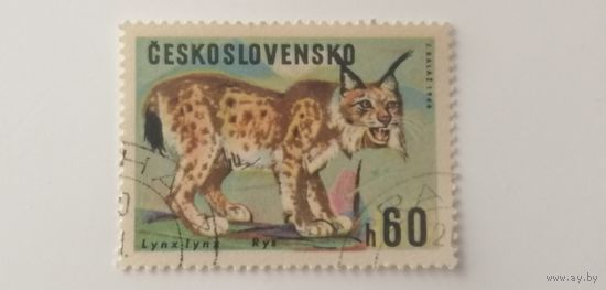 Чехословакия 1966. Дикие животные