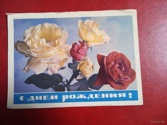 Почтовая карточка СССР. С днём рождения. 1968 год. Фото. П. Смоляков