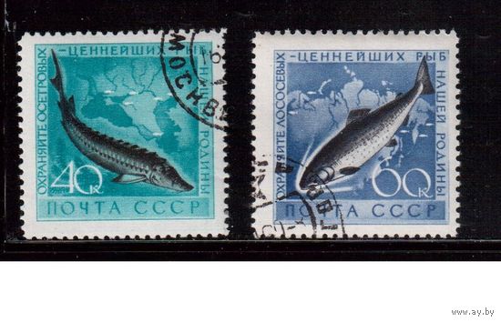 СССР-1959, (Заг.2246-2247)  гаш.(с клеем)  ,Фауна, Рыбы