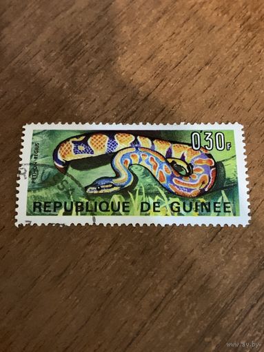 Гвинея 1967. Змеи Гвинеи. Марка из серии