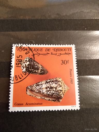 Республика Джибути раковины фауна  (4-9)