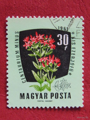 Венгрия 1961 г. Цветы.
