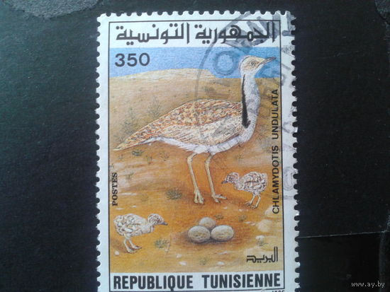 Тунис 1995 птица