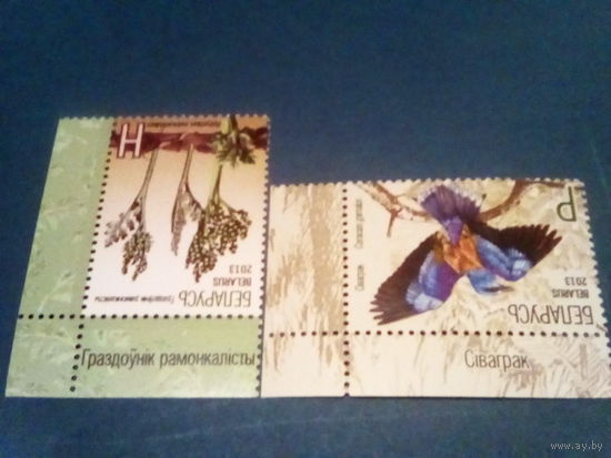 Беларусь 2013  фауна