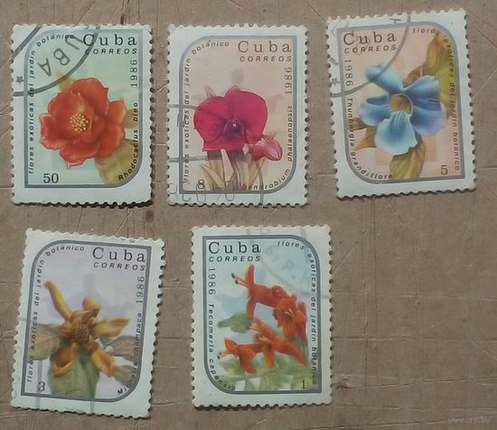 Куба цветы1986
