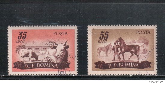 Румыния-1955, (Мих.1553-1554) гаш.  , Сельское хоз-во, Фауна, Лошади
