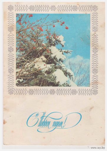 СССР Почтовая карточка 1976, подписана Худ. С. Пегов