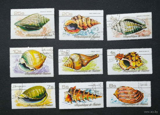 Гвинея 1977 г. Раковины моллюсков. Морская фауна, полная серия из 9 марок #0095-Ф2P18