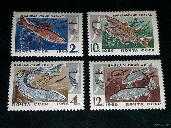 СССР 1966 Фауна. Промысловые рыбы Байкала. 4 чистые марки